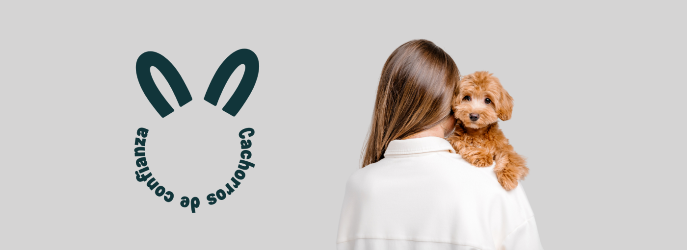 quienes somos sublime puppies